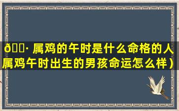 🌷 属鸡的午时是什么命格的人（属鸡午时出生的男孩命运怎么样）